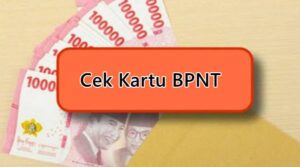 Cek Kartu BPNT Lewat HP Tanpa ke Kantor, Ini Caranya