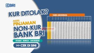 Tabel Pinjaman BRI Non KUR, Ini Simulasi dan Syaratnya