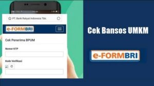 Cek Bansos UMKM 2026, Cara Mudah Mengetahui Penerima Bantuan Pakai NIK